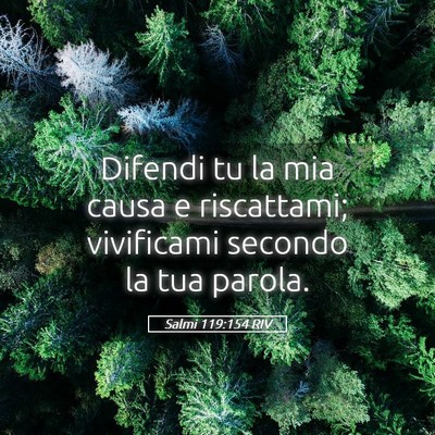 Picture 05 - Salmi 119:154 RIV - Difendi tu la mia causa e riscattami; vivificami - Bible Verse Picture