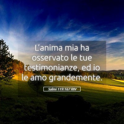 Picture 05 - Salmi 119:167 RIV - L’anima mia ha osservato le tue testimonianze, - Bible Verse Picture