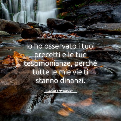 Picture 05 - Salmi 119:168 RIV - Io ho osservato i tuoi precetti e le tue - Bible Verse Picture