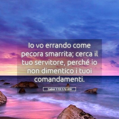 Picture 05 - Salmi 119:176 RIV - Io vo errando come pecora smarrita; cerca il tuo - Bible Verse Picture