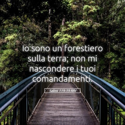 Picture 05 - Salmi 119:19 RIV - Io sono un forestiero sulla terra; non mi - Bible Verse Picture