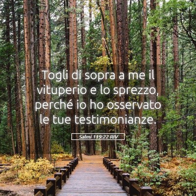 Picture 05 - Salmi 119:22 RIV - Togli di sopra a me il vituperio e lo sprezzo, - Bible Verse Picture