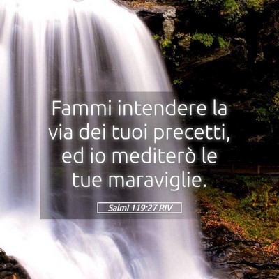 Picture 05 - Salmi 119:27 RIV - Fammi intendere la via dei tuoi precetti, ed io - Bible Verse Picture