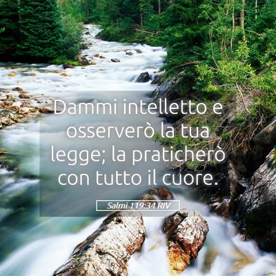 Picture 05 - Salmi 119:34 RIV - Dammi intelletto e osserverò la tua legge; la - Bible Verse Picture