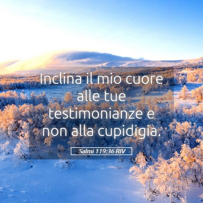 Picture 05 - Salmi 119:36 RIV - Inclina il mio cuore alle tue testimonianze e non - Bible Verse Picture