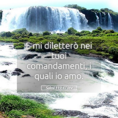 Picture 05 - Salmi 119:47 RIV - E mi diletterò nei tuoi comandamenti, i quali io - Bible Verse Picture