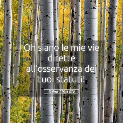 Picture 05 - Salmi 119:5 RIV - Oh siano le mie vie dirette all’osservanza dei - Bible Verse Picture