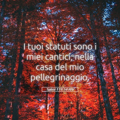 Picture 05 - Salmi 119:54 RIV - I tuoi statuti sono i miei cantici, nella casa - Bible Verse Picture