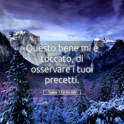 Picture 05 - Salmi 119:56 RIV - Questo bene mi è toccato, di osservare i tuoi - Bible Verse Picture