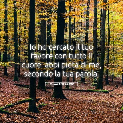 Picture 05 - Salmi 119:58 RIV - Io ho cercato il tuo favore con tutto il cuore: - Bible Verse Picture
