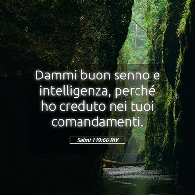 Picture 05 - Salmi 119:66 RIV - Dammi buon senno e intelligenza, perché ho - Bible Verse Picture