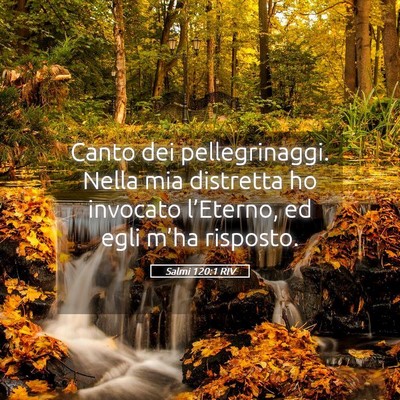 Picture 05 - Salmi 120:1 RIV - Canto dei pellegrinaggi. Nella mia distretta ho - Bible Verse Picture