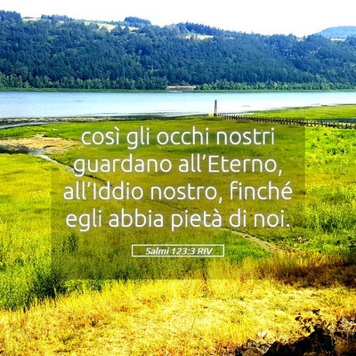 Picture 05 - Salmi 123:3 RIV - così gli occhi nostri guardano all’Eterno, - Bible Verse Picture