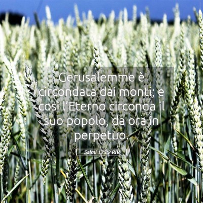 Picture 05 - Salmi 125:2 RIV - Gerusalemme è circondata dai monti; e così - Bible Verse Picture