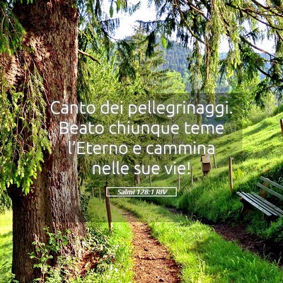 Picture 05 - Salmi 128:1 RIV - Canto dei pellegrinaggi. Beato chiunque teme - Bible Verse Picture