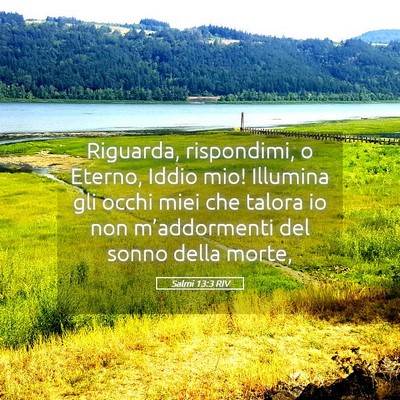 Picture 05 - Salmi 13:3 RIV - Riguarda, rispondimi, o Eterno, Iddio mio! - Bible Verse Picture