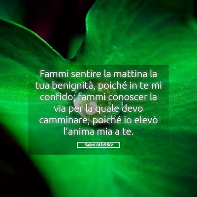 Picture 05 - Salmi 143:8 RIV - Fammi sentire la mattina la tua benignità, - Bible Verse Picture
