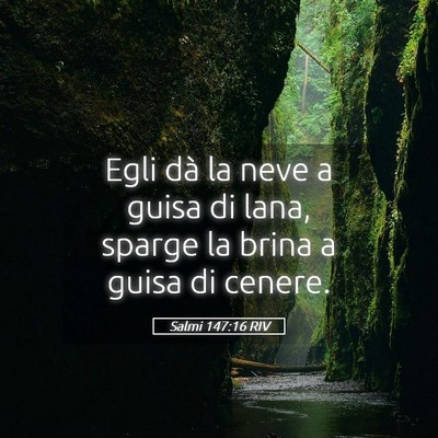Picture 05 - Salmi 147:16 RIV - Egli dà la neve a guisa di lana, sparge la brina - Bible Verse Picture