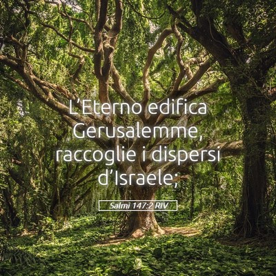 Picture 05 - Salmi 147:2 RIV - L’Eterno edifica Gerusalemme, raccoglie i - Bible Verse Picture