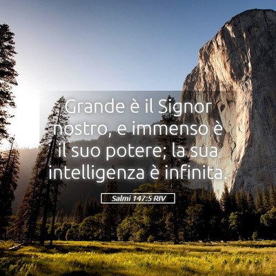 Picture 05 - Salmi 147:5 RIV - Grande è il Signor nostro, e immenso è il suo - Bible Verse Picture