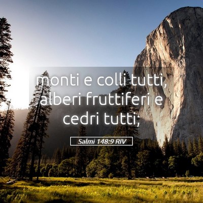 Picture 05 - Salmi 148:9 RIV - monti e colli tutti, alberi fruttiferi e cedri - Bible Verse Picture