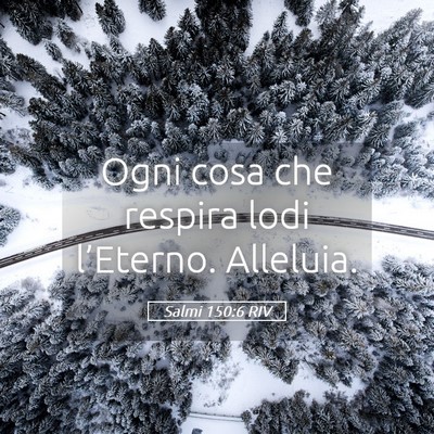 Picture 05 - Salmi 150:6 RIV - Ogni cosa che respira lodi l’Eterno. - Bible Verse Picture