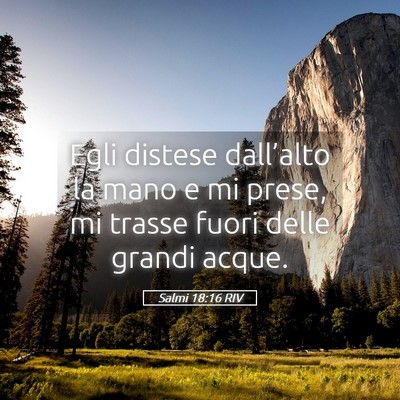 Picture 05 - Salmi 18:16 RIV - Egli distese dall’alto la mano e mi prese, mi - Bible Verse Picture