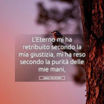 Picture 05 - Salmi 18:20 RIV - L’Eterno mi ha retribuito secondo la mia - Bible Verse Picture