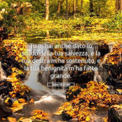 Picture 05 - Salmi 18:35 RIV - Tu m’hai anche dato lo scudo della tua - Bible Verse Picture