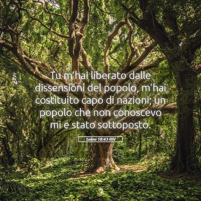 Picture 05 - Salmi 18:43 RIV - Tu m’hai liberato dalle dissensioni del popolo, - Bible Verse Picture