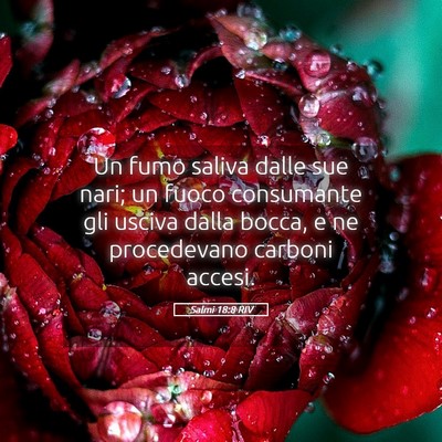 Picture 05 - Salmi 18:8 RIV - Un fumo saliva dalle sue nari; un fuoco - Bible Verse Picture