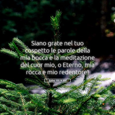 Picture 05 - Salmi 19:14 RIV - Siano grate nel tuo cospetto le parole della mia - Bible Verse Picture
