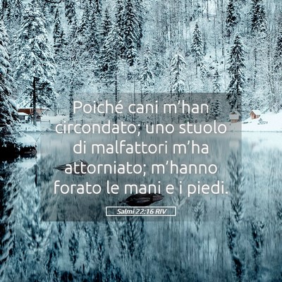 Picture 05 - Salmi 22:16 RIV - Poiché cani m’han circondato; uno stuolo di - Bible Verse Picture