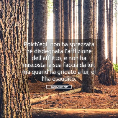 Picture 05 - Salmi 22:24 RIV - Poich’egli non ha sprezzata né disdegnata - Bible Verse Picture