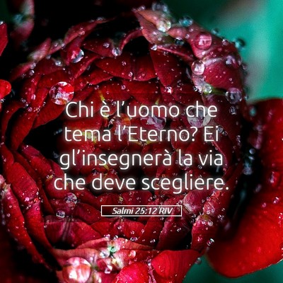 Picture 05 - Salmi 25:12 RIV - Chi è l’uomo che tema l’Eterno? Ei - Bible Verse Picture