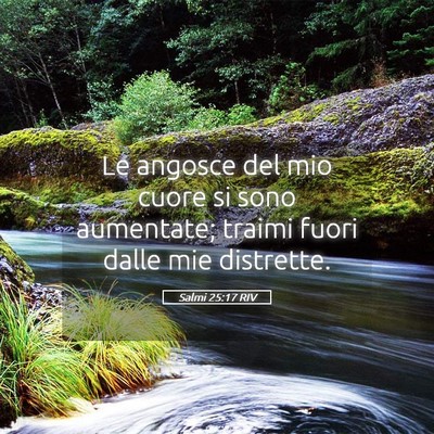 Picture 05 - Salmi 25:17 RIV - Le angosce del mio cuore si sono aumentate; - Bible Verse Picture