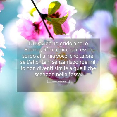 Picture 05 - Salmi 28:1 RIV - Di Davide. Io grido a te, o Eterno; Ròcca mia, - Bible Verse Picture