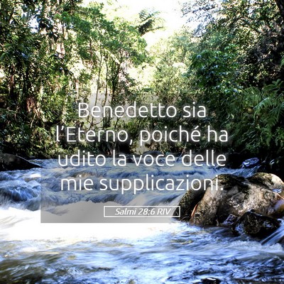 Picture 05 - Salmi 28:6 RIV - Benedetto sia l’Eterno, poiché ha udito la - Bible Verse Picture