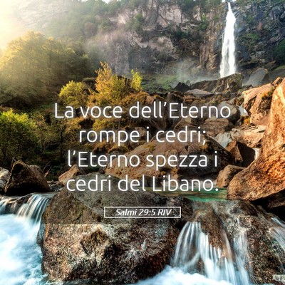 Picture 05 - Salmi 29:5 RIV - La voce dell’Eterno rompe i cedri; l’Eterno - Bible Verse Picture
