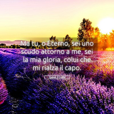Picture 05 - Salmi 3:3 RIV - Ma tu, o Eterno, sei uno scudo attorno a me, sei - Bible Verse Picture