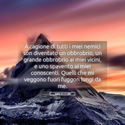 Picture 05 - Salmi 31:11 RIV - A cagione di tutti i miei nemici son diventato un - Bible Verse Picture