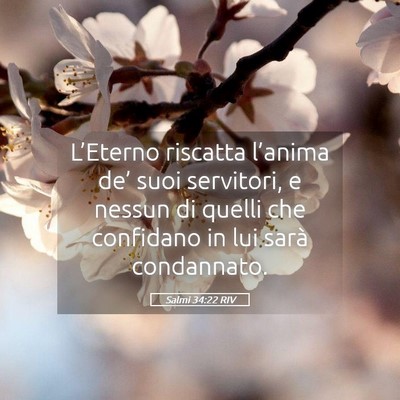 Picture 05 - Salmi 34:22 RIV - L’Eterno riscatta l’anima de’ suoi - Bible Verse Picture