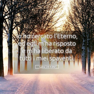 Picture 05 - Salmi 34:4 RIV - Io ho cercato l’Eterno, ed egli m’ha risposto - Bible Verse Picture