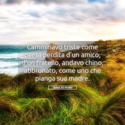 Picture 05 - Salmi 35:14 RIV - Camminavo triste come per la perdita d’un - Bible Verse Picture