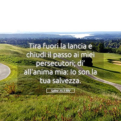 Picture 05 - Salmi 35:3 RIV - Tira fuori la lancia e chiudi il passo ai miei - Bible Verse Picture