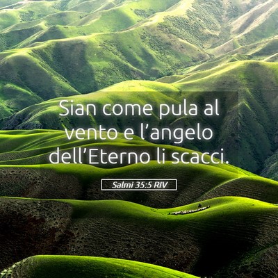Picture 05 - Salmi 35:5 RIV - Sian come pula al vento e l’angelo - Bible Verse Picture