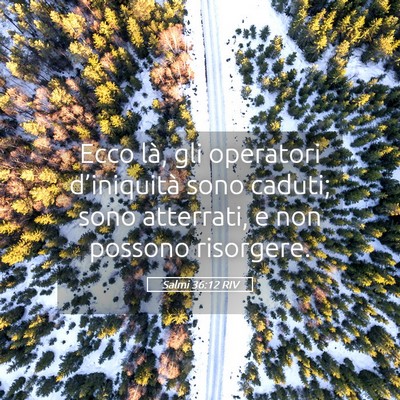 Picture 05 - Salmi 36:12 RIV - Ecco là, gli operatori d’iniquità sono - Bible Verse Picture
