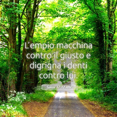 Picture 05 - Salmi 37:12 RIV - L’empio macchina contro il giusto e digrigna i - Bible Verse Picture