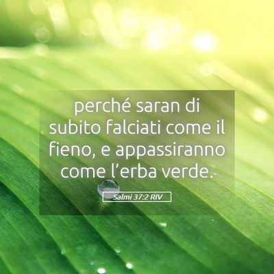 Picture 05 - Salmi 37:2 RIV - perché saran di subito falciati come il fieno, e - Bible Verse Picture
