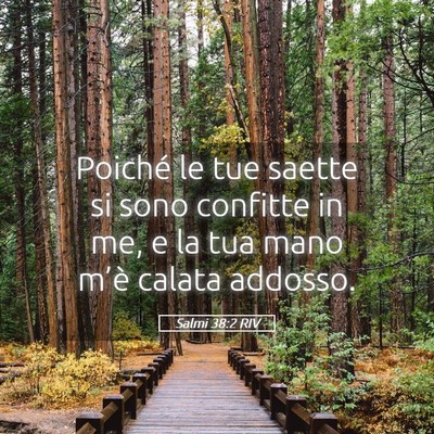 Picture 05 - Salmi 38:2 RIV - Poiché le tue saette si sono confitte in me, e - Bible Verse Picture